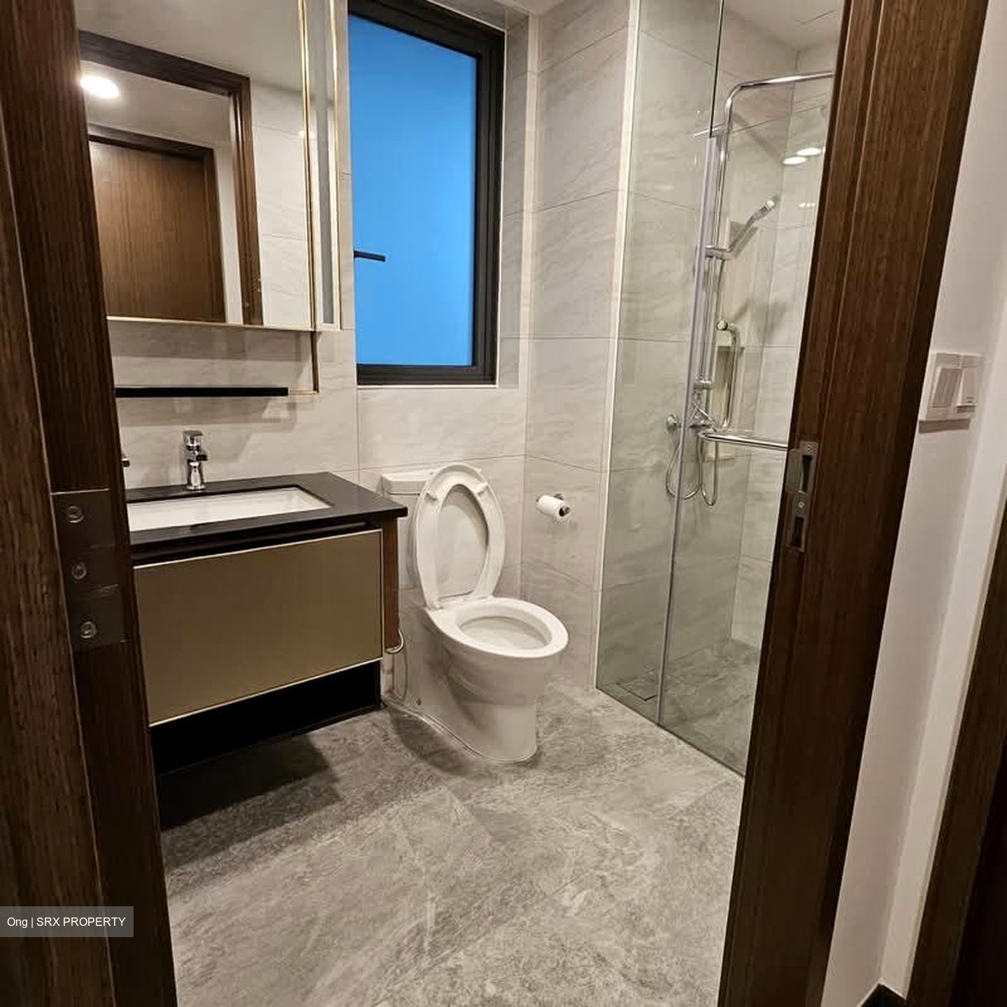 Normanton Park (D5), Apartment #581965311